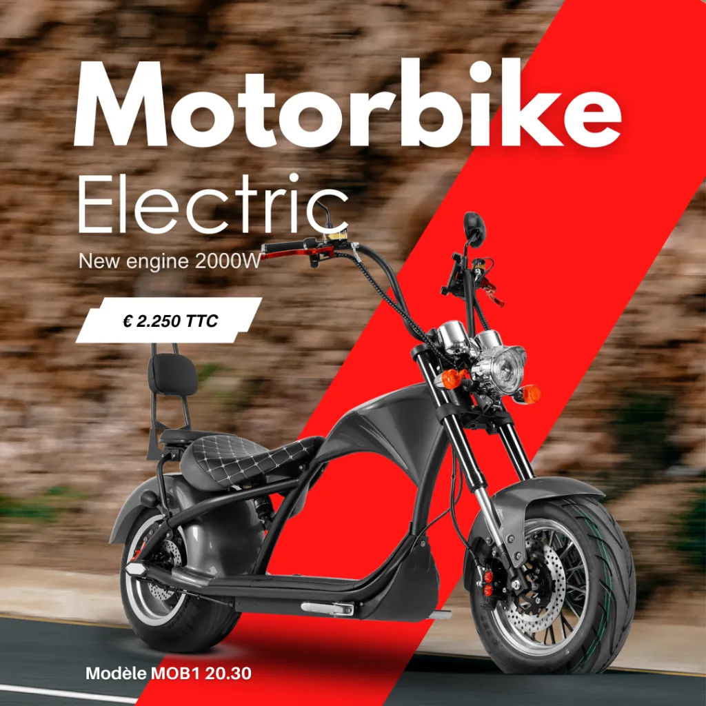 MOB1 20.20 Franc Modern scotter Electrique Ride-E (4).webp