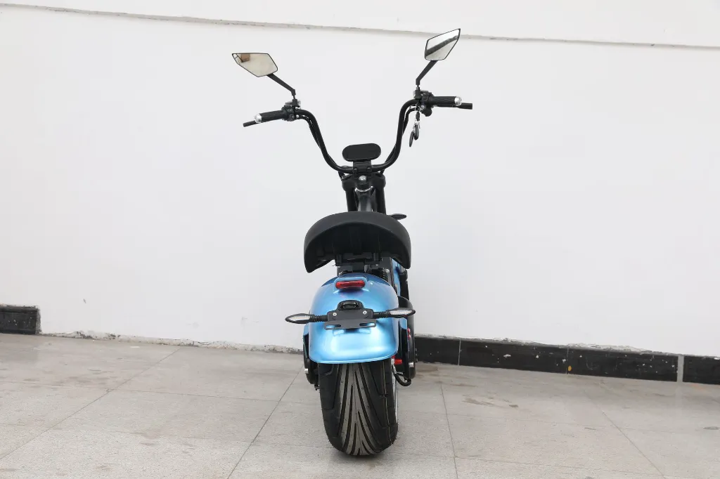 Electric Moby Performance Ride-E (4).webp
